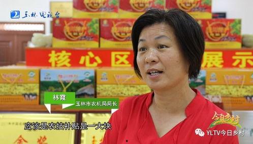 刘晶爆料广西网红视频,刘晶爆料背后的惊人真相!” 第1张 刘晶爆料广西网红视频,刘晶爆料背后的惊人真相!” 第1张